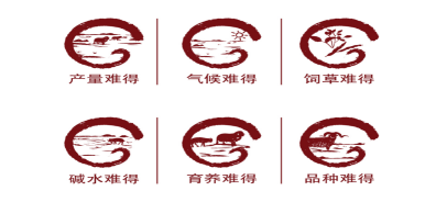 图片13.png